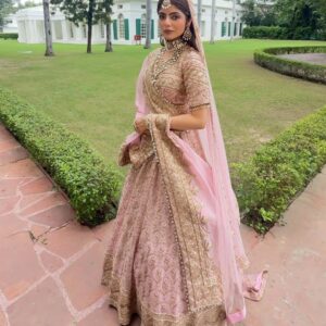 Blush Pink & Gold Bridal Embroidered Lehenga Set