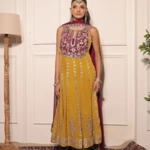 Mustard & Wine Embroidered Anarkali Set