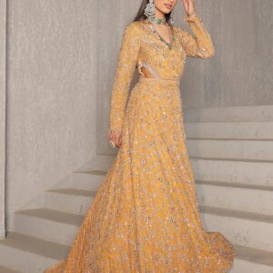 Mustard Gold Embellished Gown
