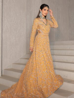 Mustard Gold Embellished Gown
